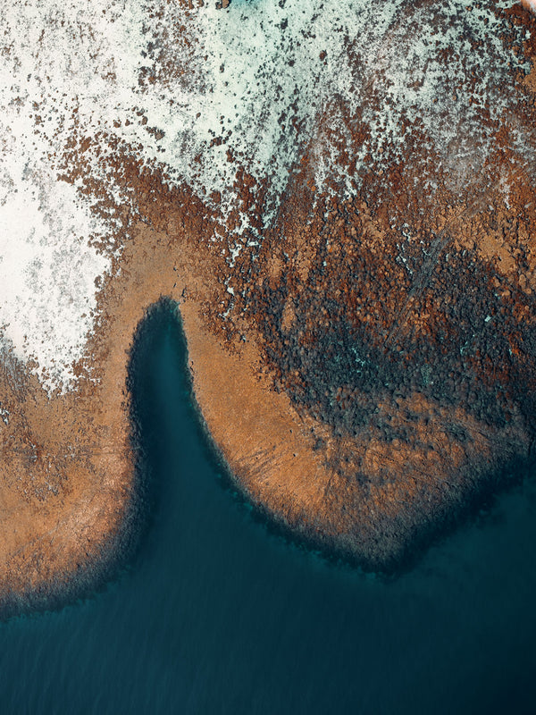 Echoes of the Coral 12