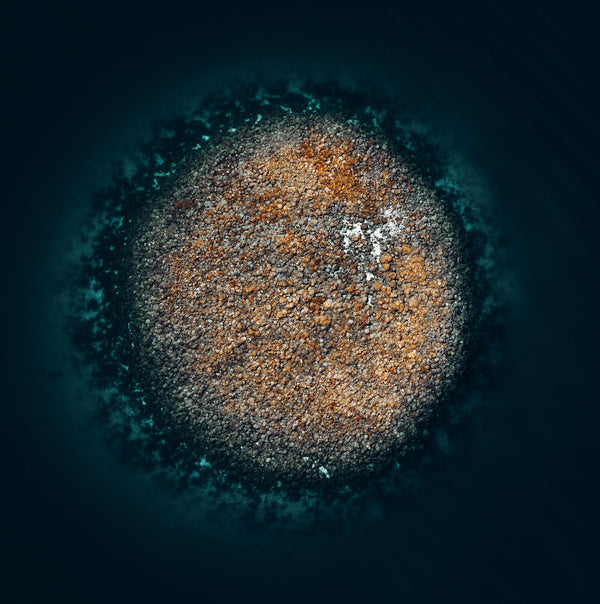 Echoes of the Coral 17