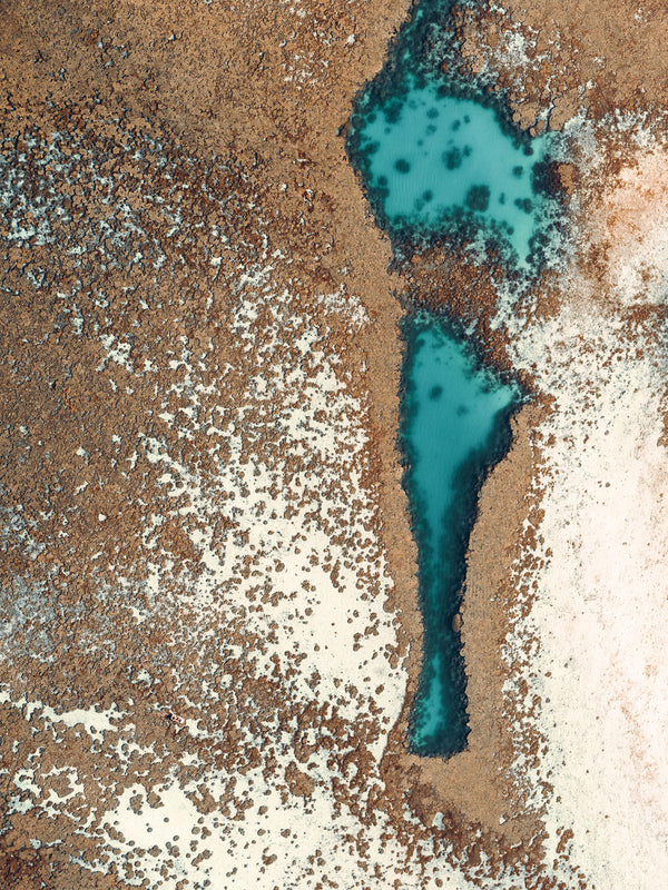 Echoes of the Coral 19