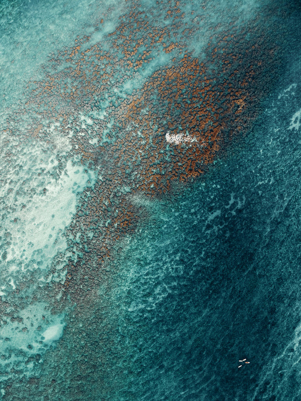 Echoes of the Coral 21