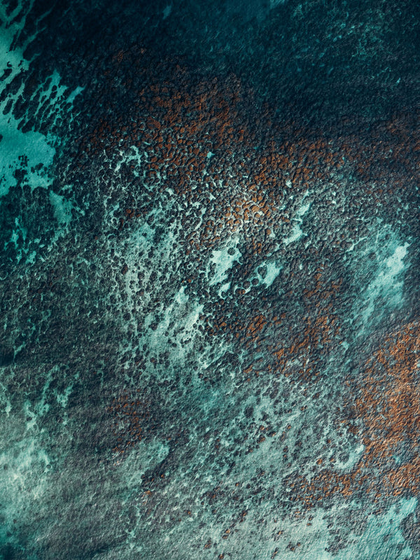 Echoes of the Coral 22