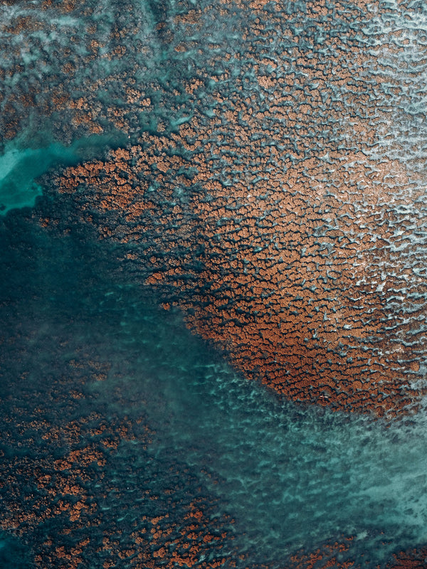 Echoes of the Coral 23