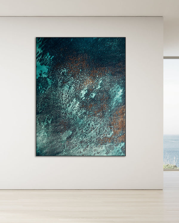 Echoes of the Coral 22