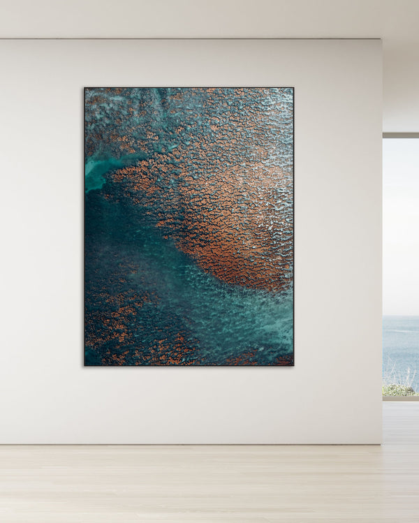 Echoes of the Coral 23