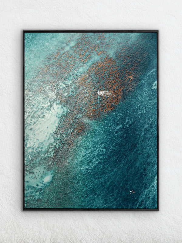 Echoes of the Coral 21