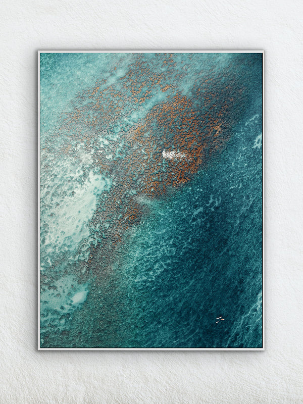 Echoes of the Coral 21