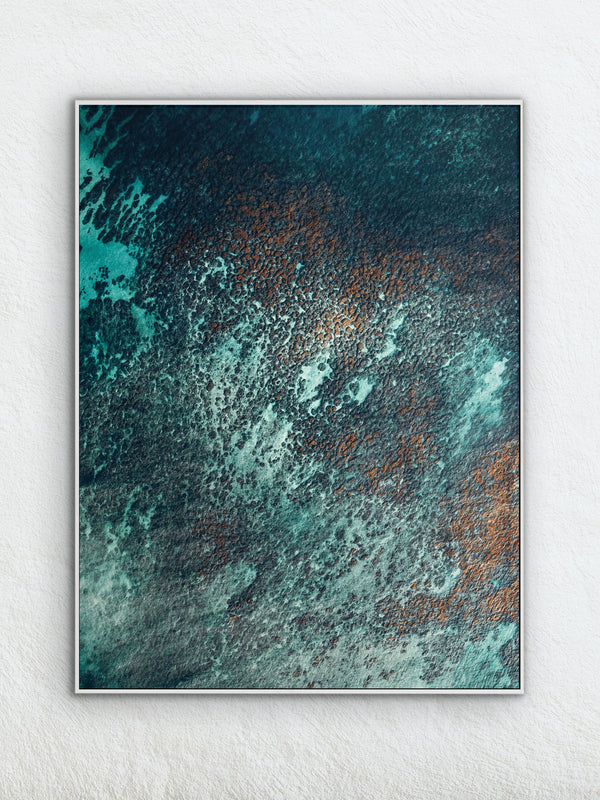 Echoes of the Coral 22