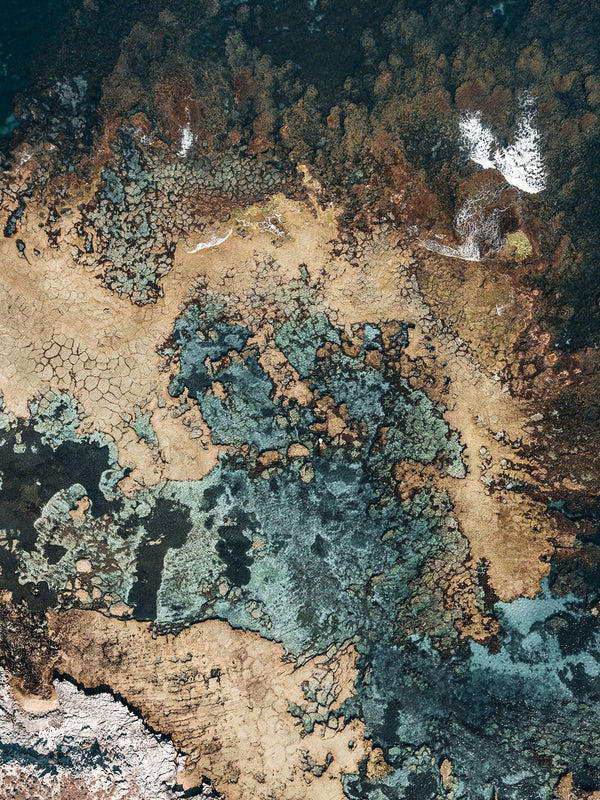 Rottnest Island Coral Reefs 14