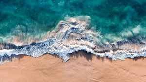 Waves | Ocean Forces 02