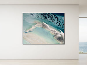 The Unique Coast 26