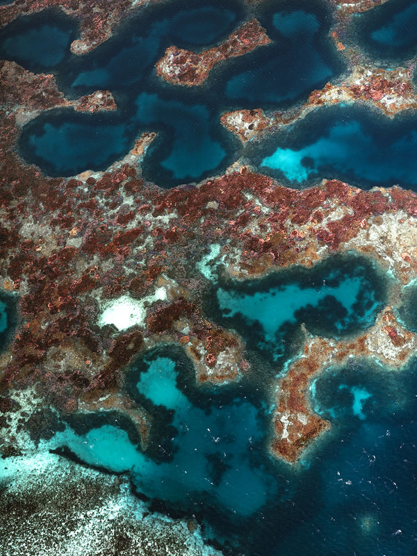 The Abrolhos Islands 06