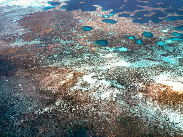 The Abrolhos Islands 21