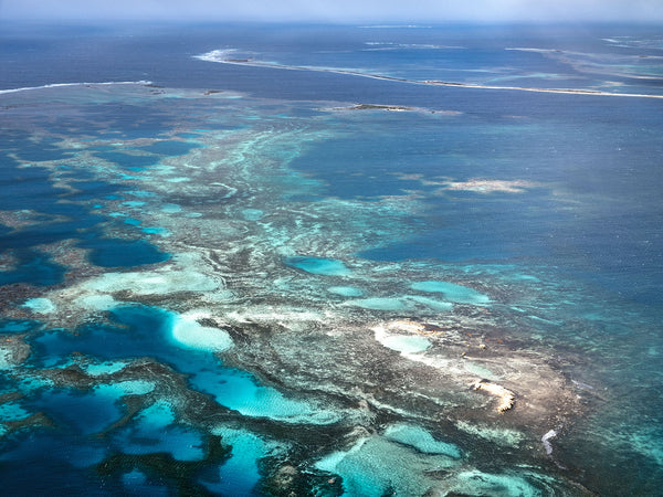 The Abrolhos Islands 22