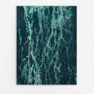 Echoes of the Coral 15