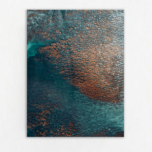 Echoes of the Coral 23
