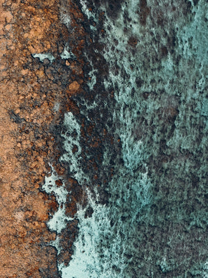 Echoes of the Coral 11