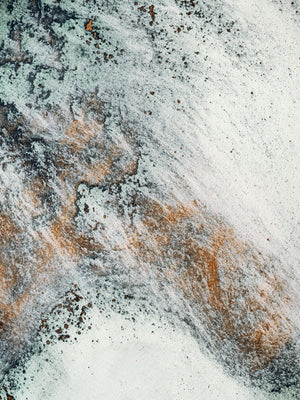 Echoes of the Coral 13