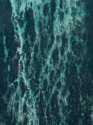 Echoes of the Coral 15