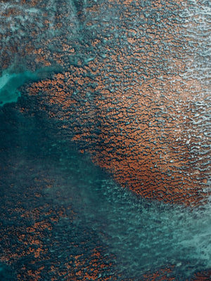 Echoes of the Coral 23