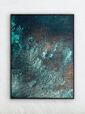 Echoes of the Coral 22