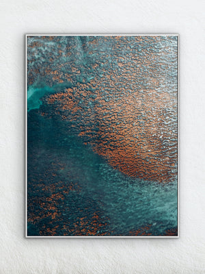 Echoes of the Coral 23