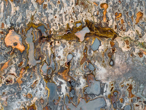 Highland Wetlands 07