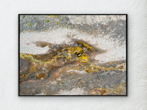 Highland Wetlands 03