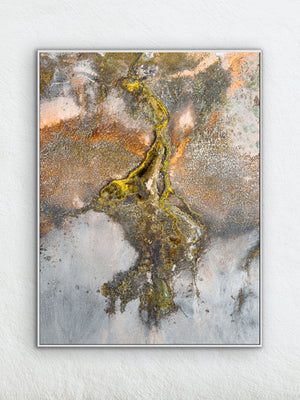 Highland Wetlands 06