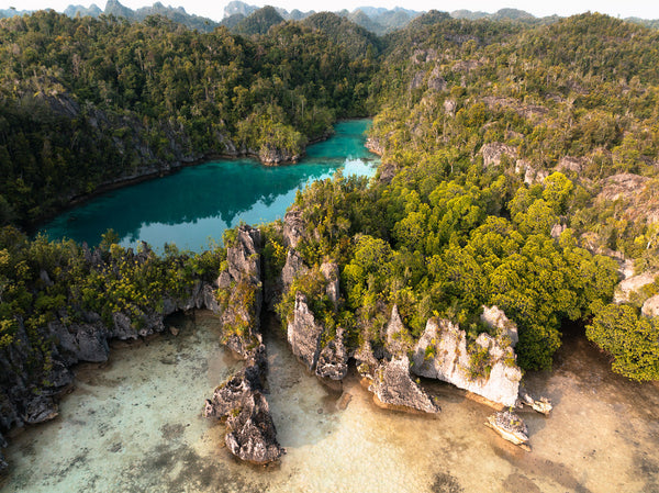 Raja Ampat - The Last Paradise 10