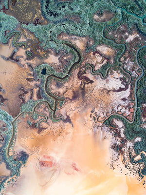 Coastal Wetlands 08