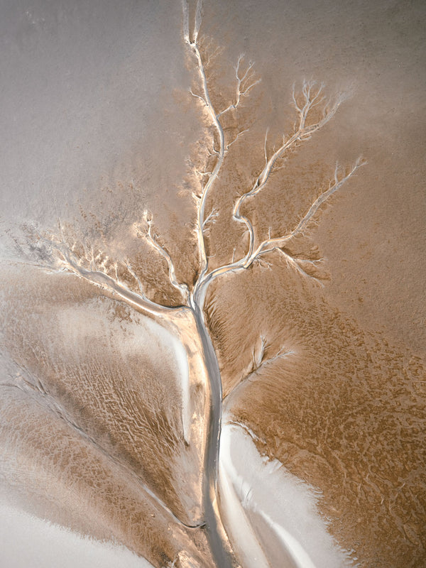 Wadden Sea 11