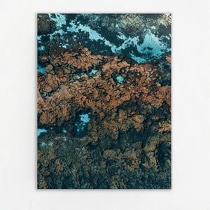 Rottnest Island Coral Reefs 06