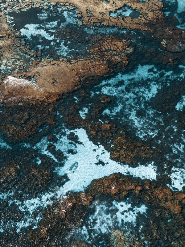 Rottnest Island Coral Reefs 04