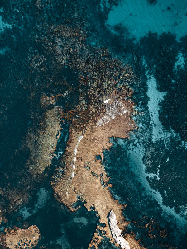 Rottnest Island Coral Reefs 08