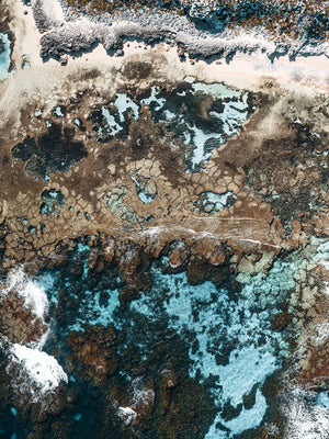 Rottnest Island Coral Reefs 09