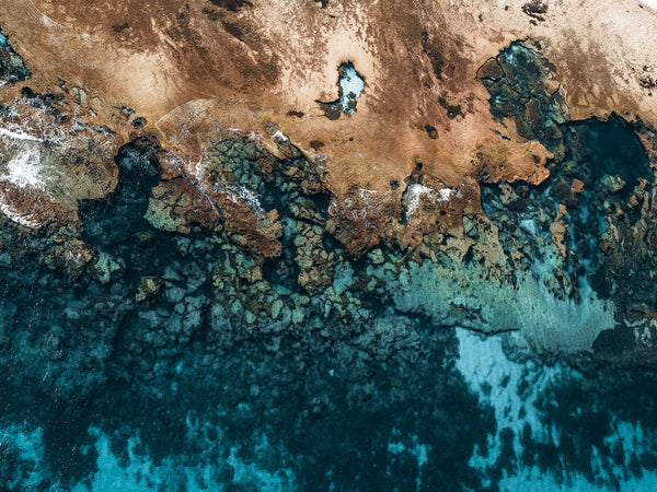 Rottnest Island Coral Reefs 10