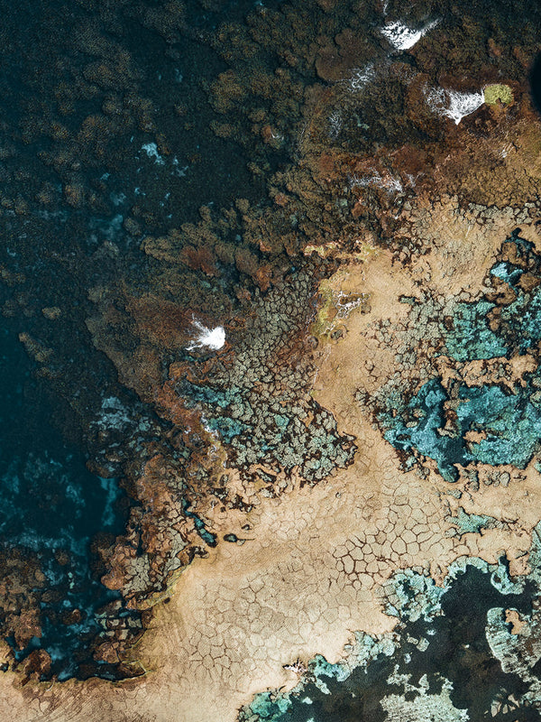 Rottnest Island Coral Reefs 18