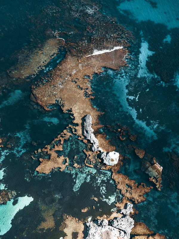 Rottnest Island Coral Reefs 19