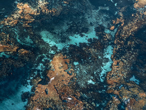 Rottnest Island Coral Reefs 20