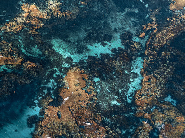 Rottnest Island Coral Reefs 20